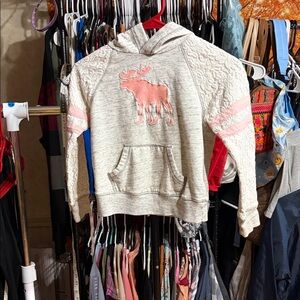 Abercrombie Kids Gray Fleece Hoodie